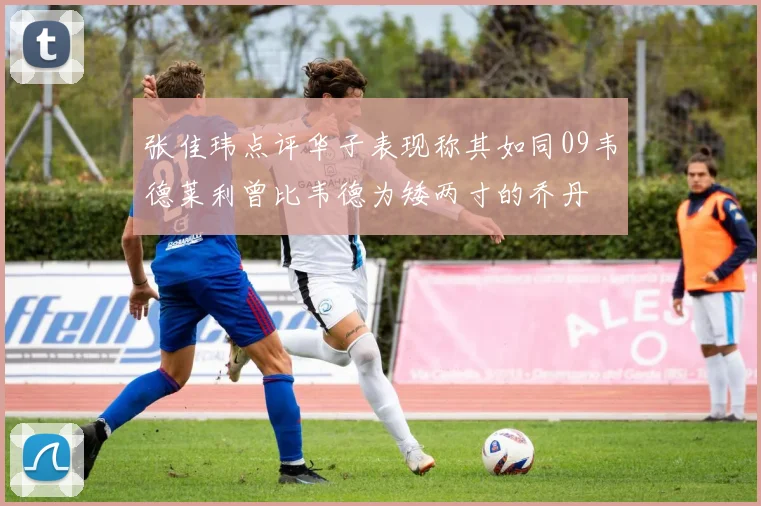 张佳玮点评华子表现称其如同09韦德莱利曾比韦德为矮两寸的乔丹