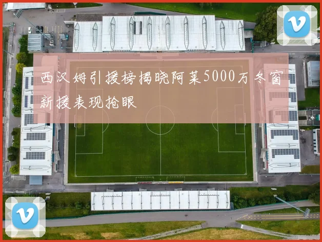 西汉姆引援榜揭晓阿莱5000万冬窗新援表现抢眼