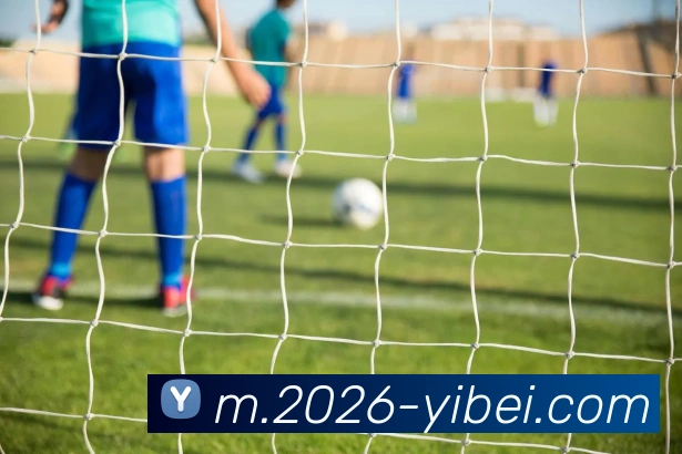 易倍体育服务体系